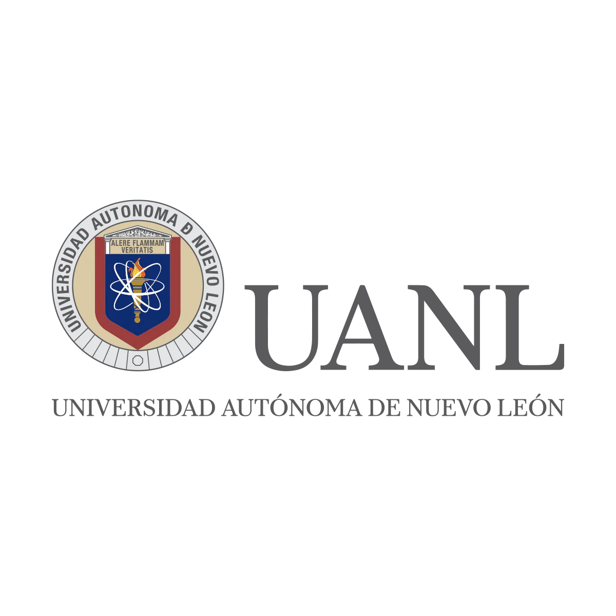 imagen producto