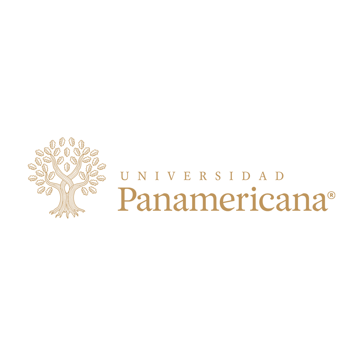 imagen producto