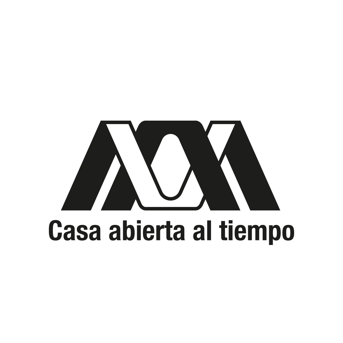 imagen producto